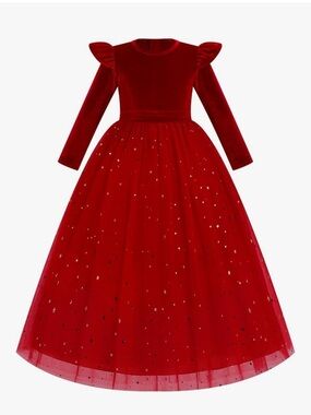 Embroidery Flower Girl Velvet Tutu Dress for Kids
